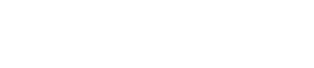 LOGO vgsslot88
